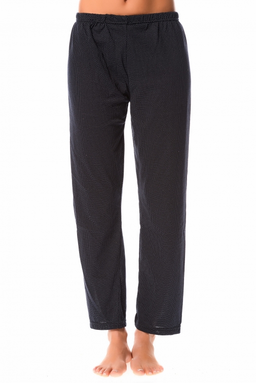 10515-dog Anthracite - Night